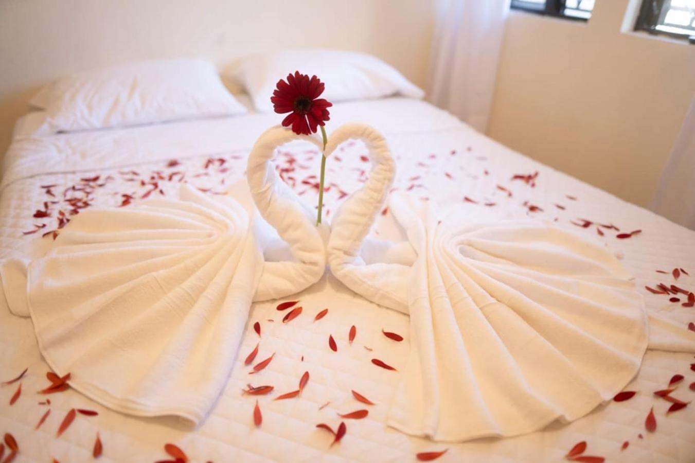 Hotel Los Manantiales 帕纳哈切尔 外观 照片