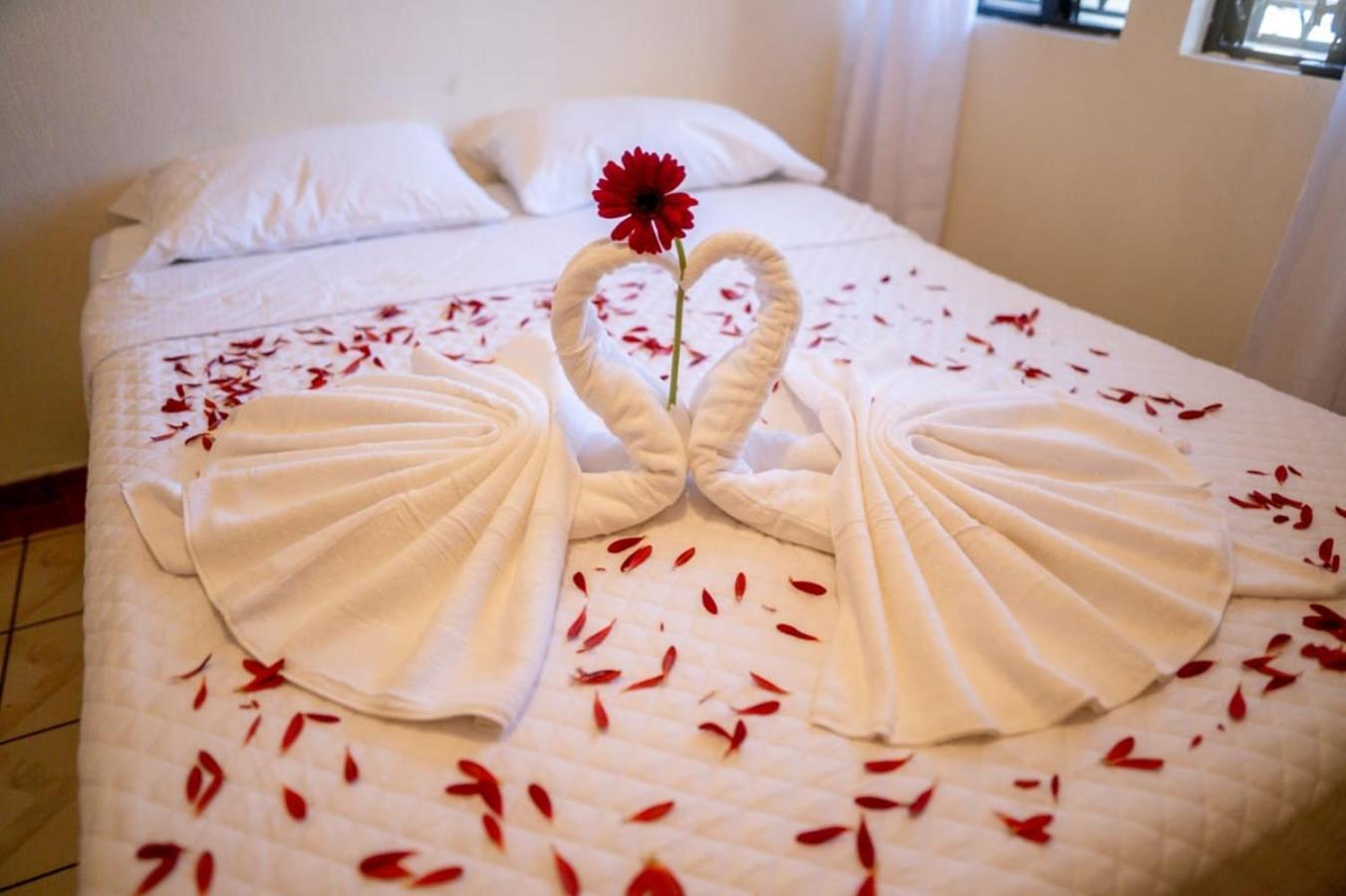 Hotel Los Manantiales 帕纳哈切尔 外观 照片