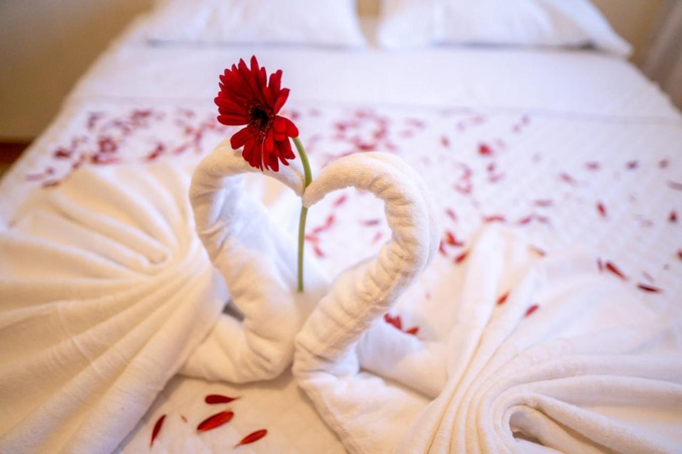 Hotel Los Manantiales 帕纳哈切尔 外观 照片